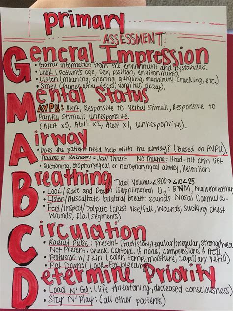 Emt Fire Training Trauma Patient Assessment Youtube Patient Assessment ...
