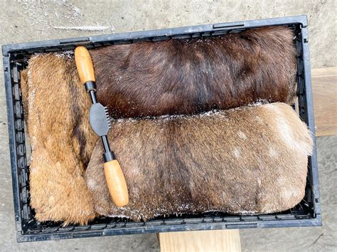 Tanning and preserving animal skins: a hands-on how-to guide - Sporting ...