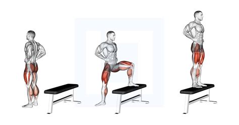 Image result for Step-Up PT Exercise