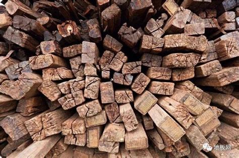 木质选材特辑 | 一块木头的温感，是一整片森林的恩赐-造作新家官网