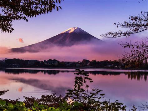 Indian tourism blossom in Japan with record high visits in 2024