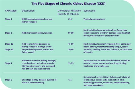 White Paper - Medications for Managing Chronic Kidney Disease: From ACEs and ARBs to SGLT2is and ...