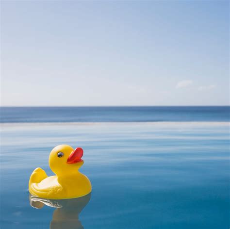 Image result for Random Happy Facts