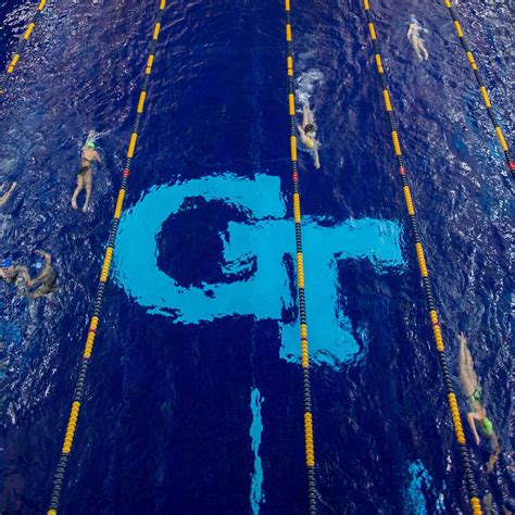 Georgia Tech Pool 的图像结果