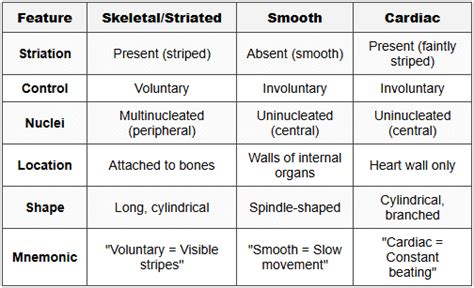 Mnemonics: Structural Organisation in Animals - Biology Class 11 - NEET ...