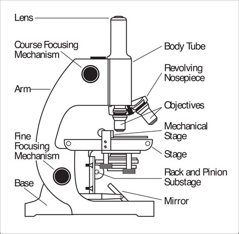 Image result for Microscope Labeled