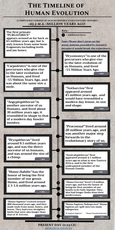 Image result for First Humans Timeline