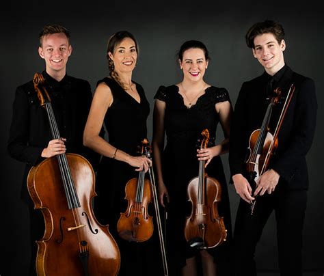 Image result for Contemporary String Quartet