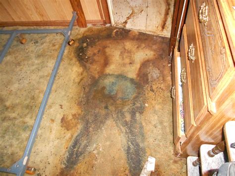 Understanding The Role Of Crime Scene Cleanup Technicians - Censushardtocountmaps