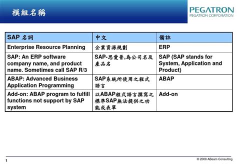 SAP名词解释---中英文对照PPT_word文档在线阅读与下载_无忧文档