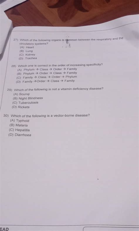 A N S W E R I T P L E A S E - Brainly.in
