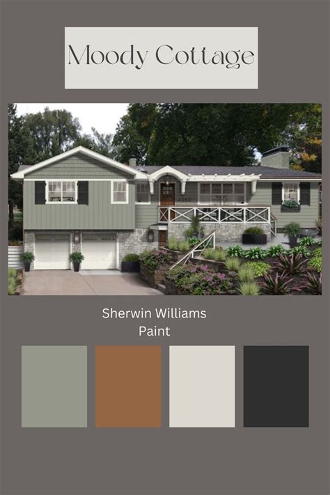 Paint Color 的图像结果