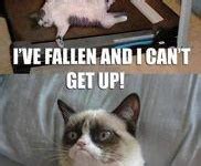 Image result for Fixed and Dynamic Array Example