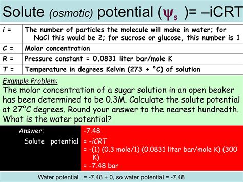 Water Potential.ppt