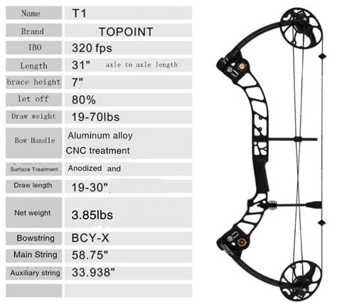 Image result for Compound Bow Arrow Chart