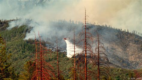 Yosemite-Nationalpark wegen Waldbrandes teilweise gesperrt - UnserTirol24