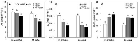 Interspecific Differences in Physiological and Biochemical Traits Drive ...