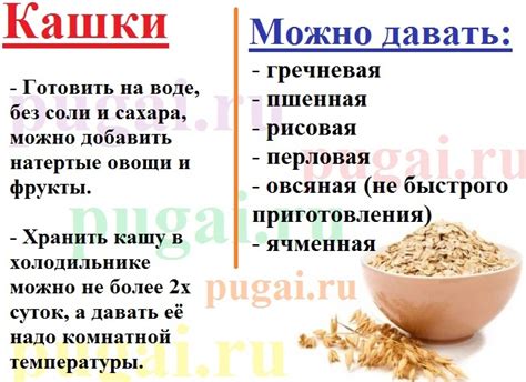 Чем кормить кореллу: что едят и что запрещенно давать