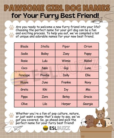 Girl Dog Names