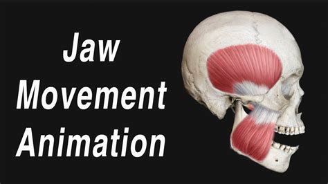 Image result for Modjo Jaw Motion