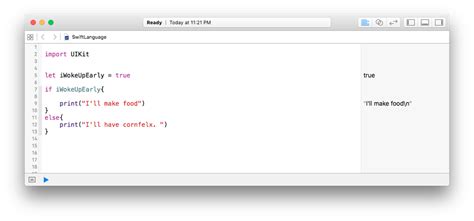 Image result for Swift Programming Language Code Example