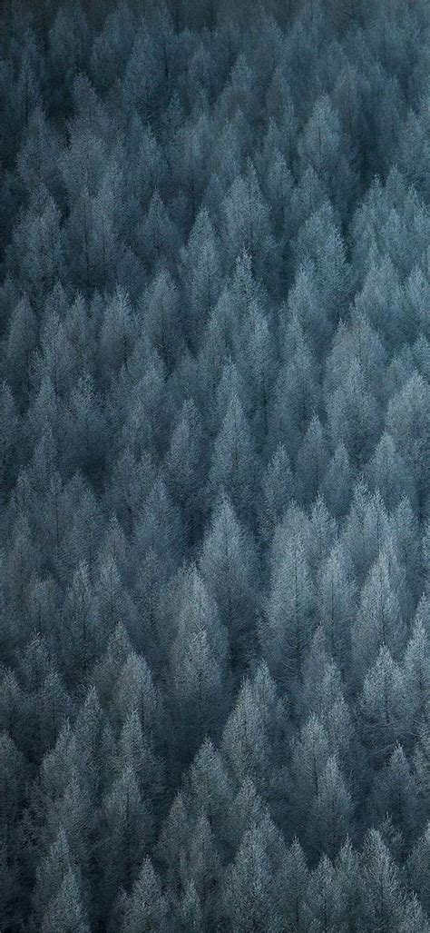 Image result for Color OS 6