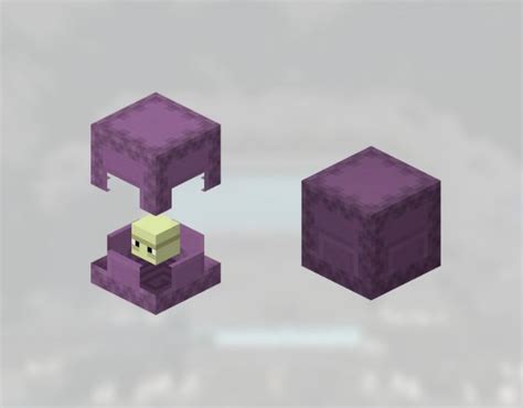 Image result for Duplication Minecraft Java Shulker Box