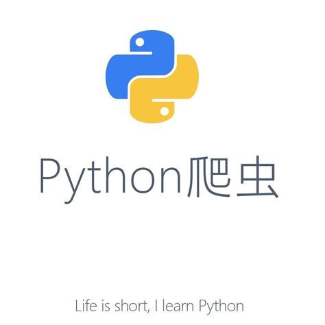 《用Python写网络爬虫第2版》PDF中英文+代码分析-CSDN博客