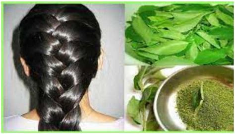 Boost hair growth with curry leaves: Powerful homemade hair packs