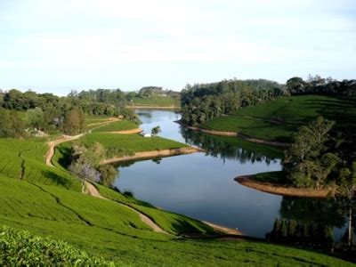 Tourist Attraction in Megamalai - Places to visit in Megamalai