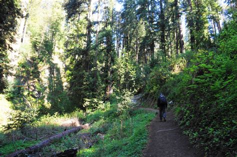 Pfeiffer Falls Trail (Pfeiffer Big Sur State Park, CA) – Live and Let Hike