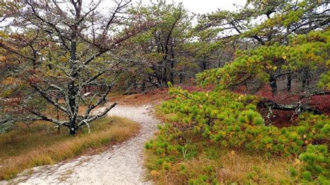 MONOMOY NATIONAL WILDLIFE REFUGE (2026) All You Need to Know BEFORE You ...