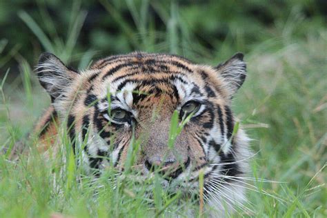 Image result for Chapter 5 Understanding Marginalization