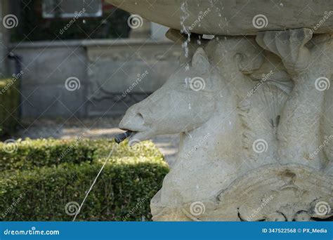 Horse Head Statue In Hyde Park Editorial Photo | CartoonDealer.com ...