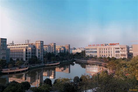 （德阳的大学）四川广汉的大学有哪些