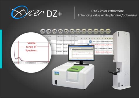 Allocation & Planning | DZ+