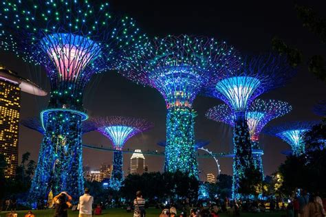 2024 (Singapore) Singapore By Night Tour with Dinner and Singapore ...