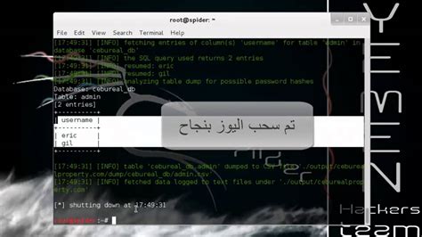 Image result for SQL Injection Example Kalinux