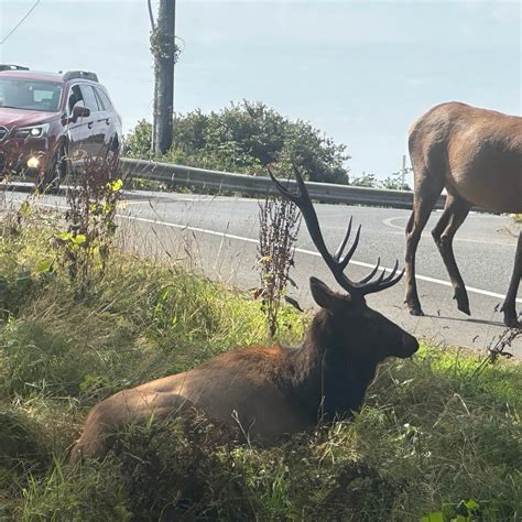 Cannon Beach RV Resort | Cannon Beach, Oregon