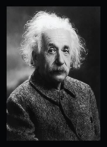 BIRD'S MIND Synthetic Wood Wall Hanging Albert Einstein Photo Framed ...