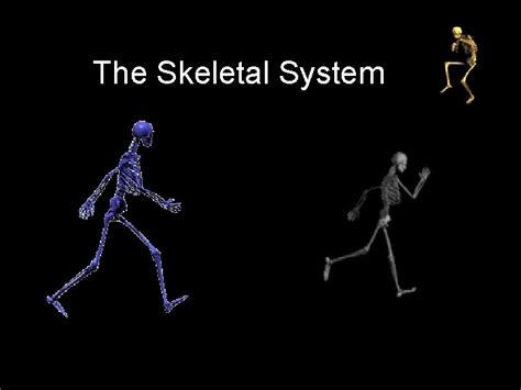 Image result for Skeletal Structural System