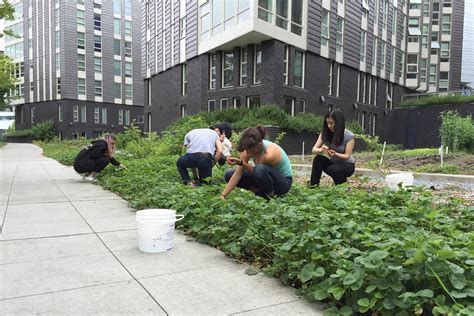 Mercer Court A-C - UW HFS