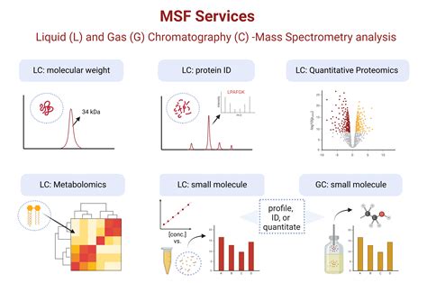 Image result for Mass Spectrometry Lab