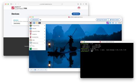 Remote Shell Access 的图像结果