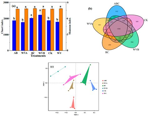 Amelioration of Coastal Salt-Affected Soils with Biochar, Acid Modified ...