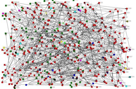 Collaboration Network 的图像结果