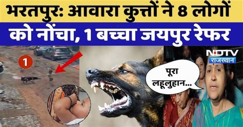 Bharatpur Dog Attack: क्या खूंखार होते जा रहे आवारा कुत्ते? बच्चों पर ...