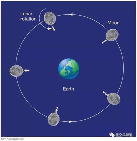 首次着陆月球背面:关于"嫦娥四号"你想知道都在这里|备份|嫦娥|月球_新浪科技_新浪网