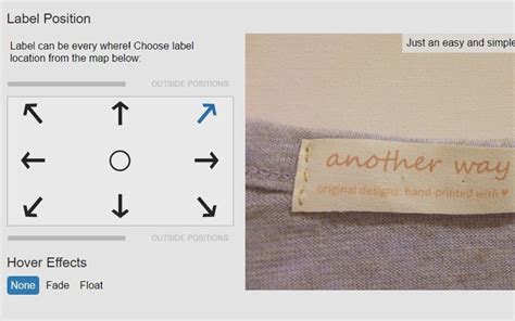 CSS Label Styling 的图像结果