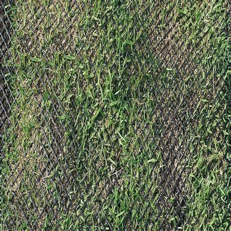 Grass Protection Mesh Plastic Grass Reinforcement | Ubuy India